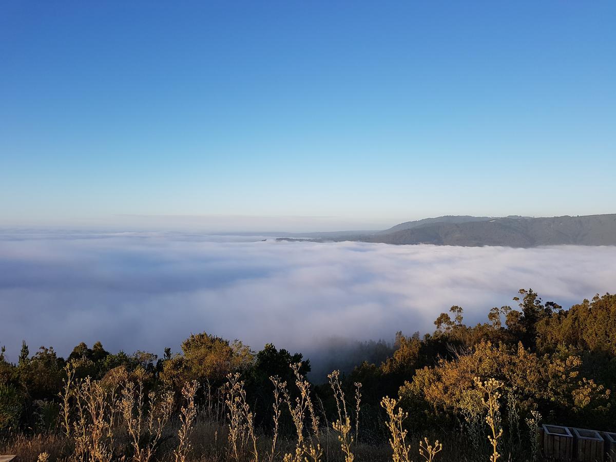 Reserva Los Maquis Cobquecura Exteriér fotografie